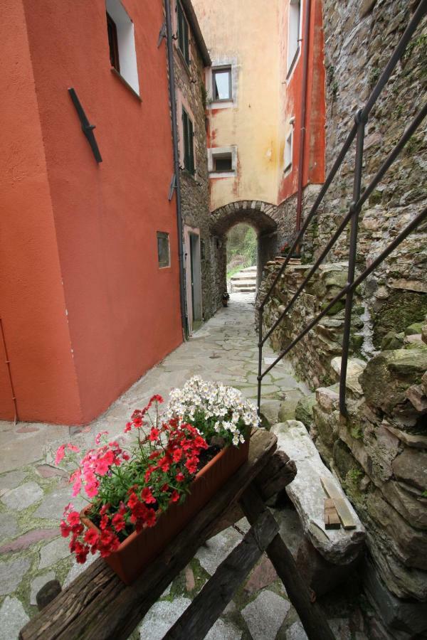 ריקו דל גולפו די ספאציה Borgo Di Codeglia - Country Rooms מראה חיצוני תמונה