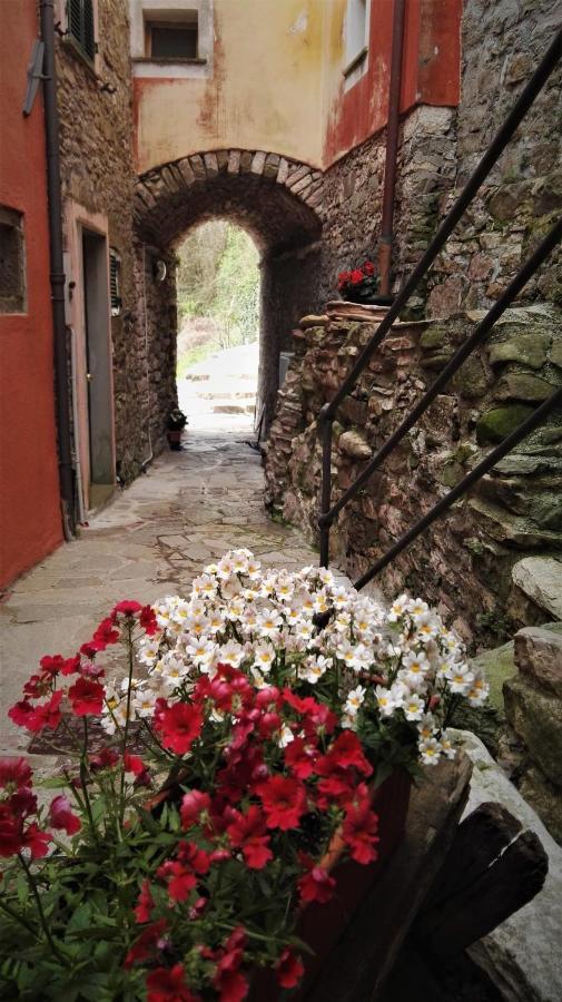 ריקו דל גולפו די ספאציה Borgo Di Codeglia - Country Rooms מראה חיצוני תמונה