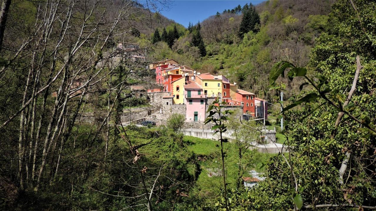 ריקו דל גולפו די ספאציה Borgo Di Codeglia - Country Rooms מראה חיצוני תמונה