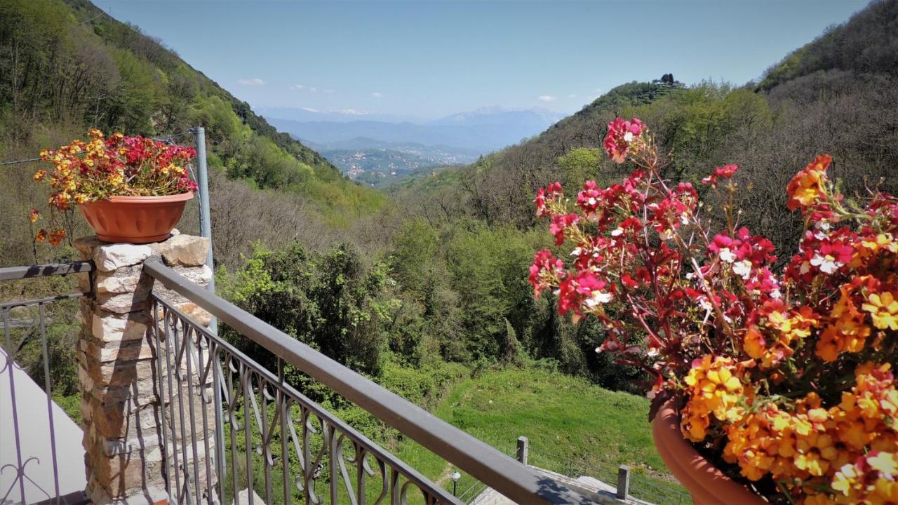 ריקו דל גולפו די ספאציה Borgo Di Codeglia - Country Rooms מראה חיצוני תמונה