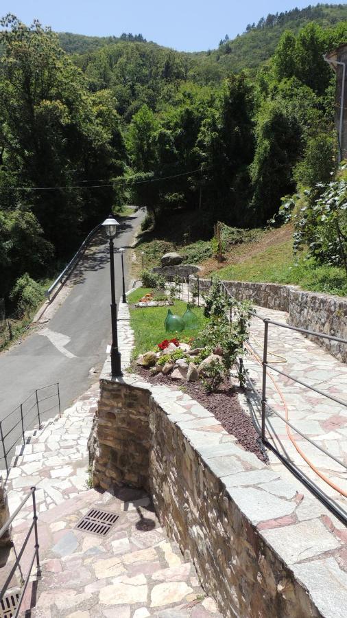 ריקו דל גולפו די ספאציה Borgo Di Codeglia - Country Rooms מראה חיצוני תמונה